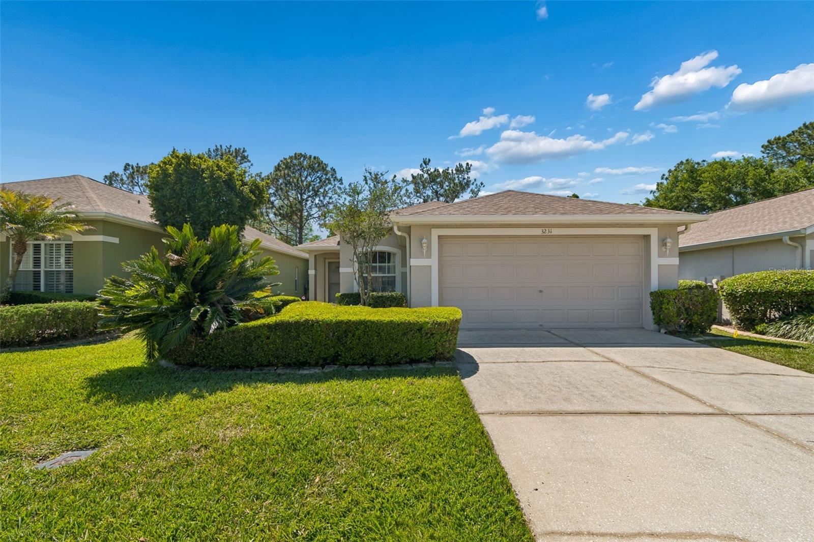 3231 BANYAN HILL LN, LAND O LAKES, FL, 34639