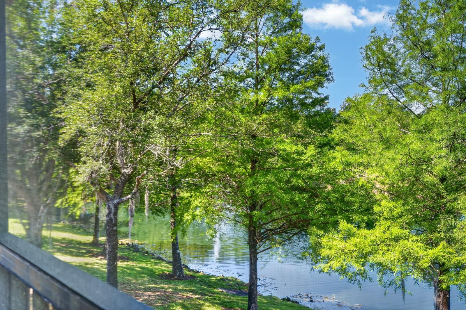 715 COBBLESTONE DR, ORMOND BEACH, FL, 32174