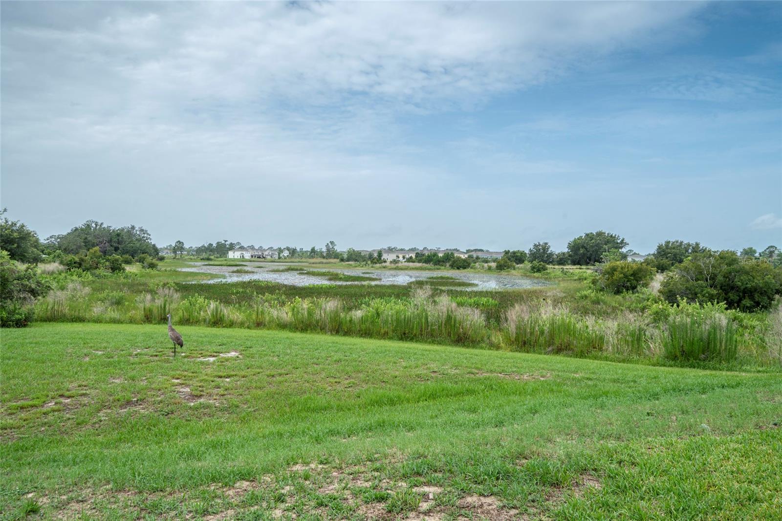 212 PRIMROSE DR, DAVENPORT, FL, 33837