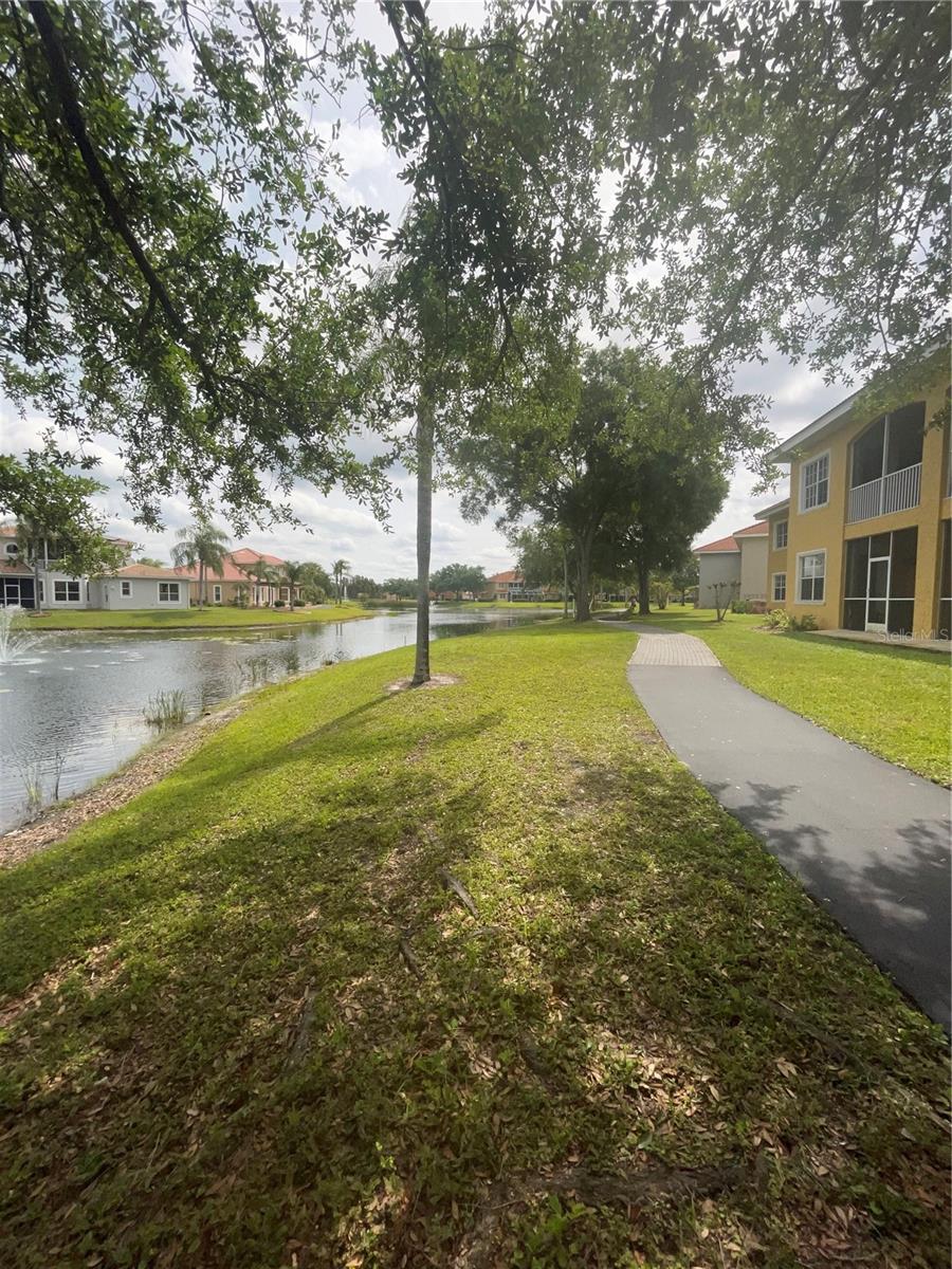 6816 DALI AVE #205, LAND O LAKES, FL, 34637