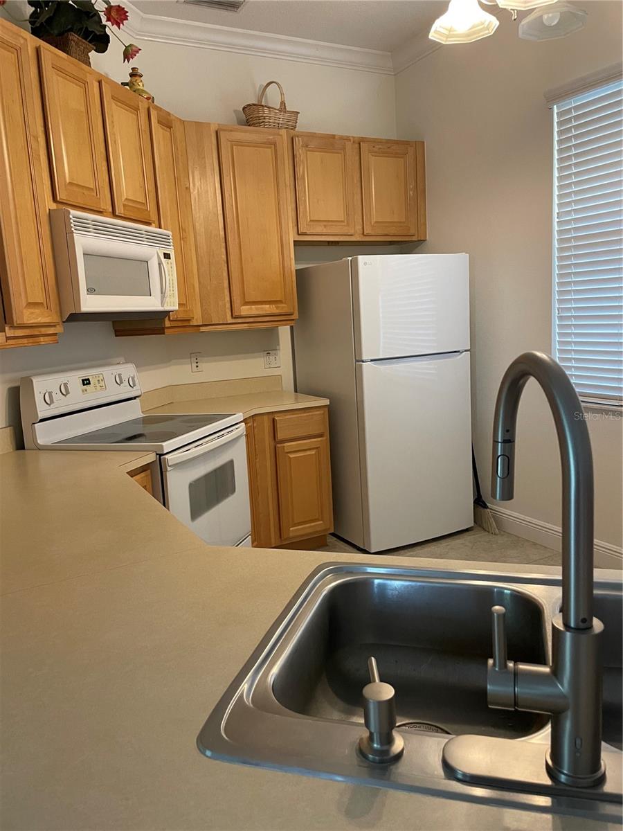 6816 DALI AVE #205, LAND O LAKES, FL, 34637