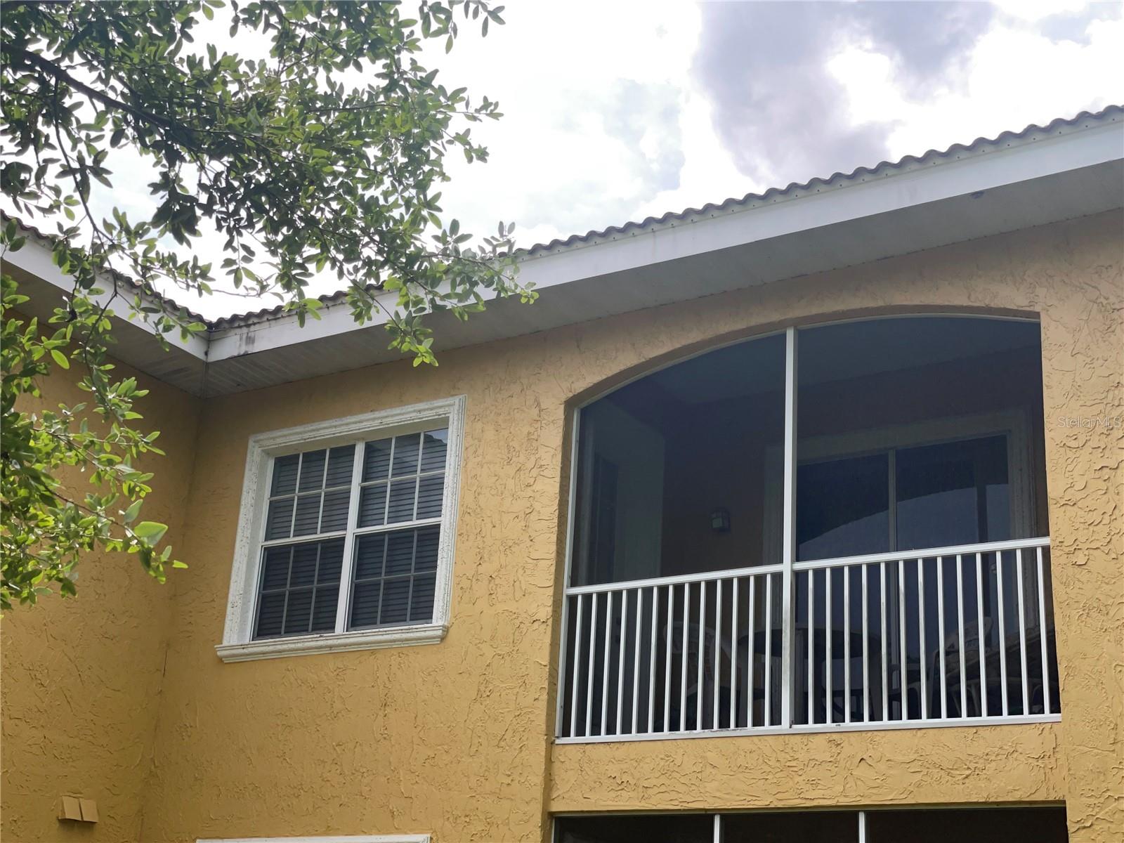 6816 DALI AVE #205, LAND O LAKES, FL, 34637