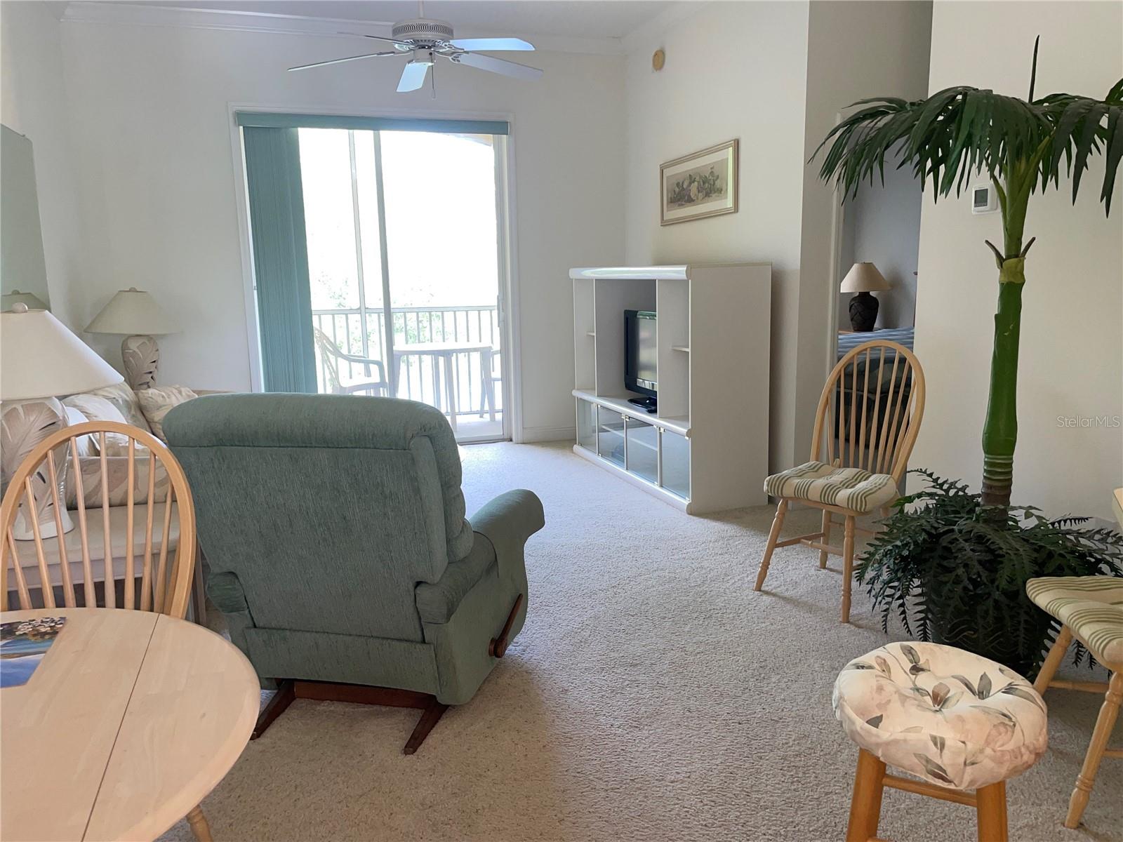 6816 DALI AVE #205, LAND O LAKES, FL, 34637