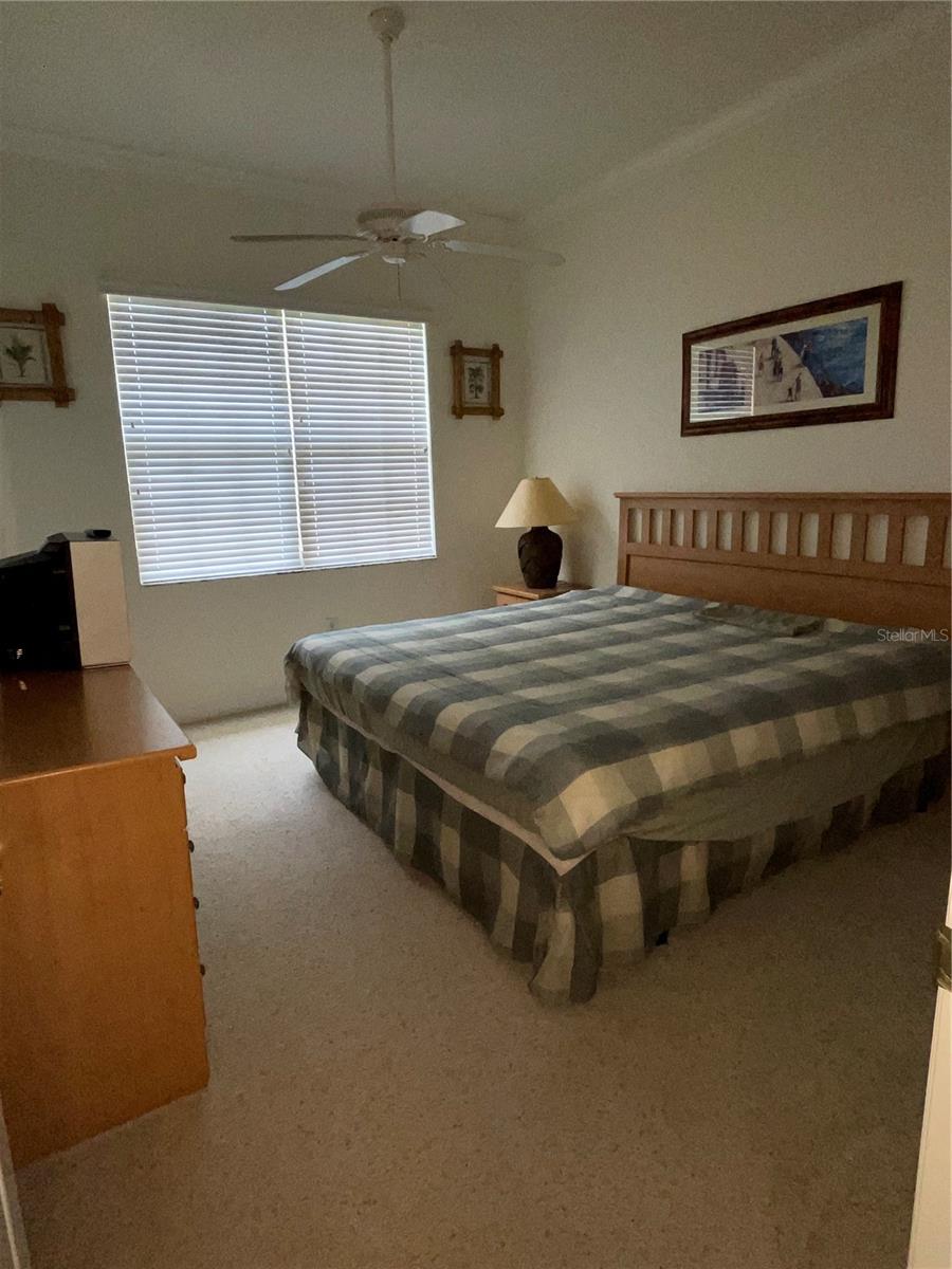 6816 DALI AVE #205, LAND O LAKES, FL, 34637
