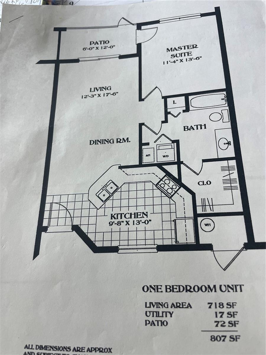 6816 DALI AVE #205, LAND O LAKES, FL, 34637