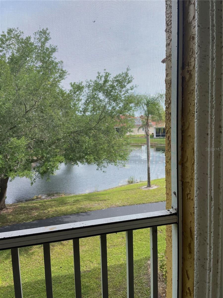 6816 DALI AVE #205, LAND O LAKES, FL, 34637
