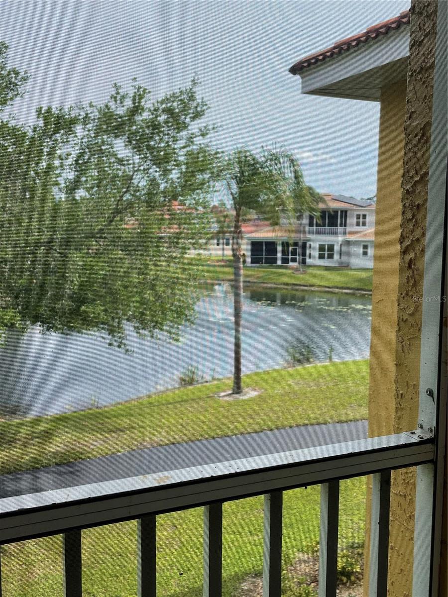 6816 DALI AVE #205, LAND O LAKES, FL, 34637