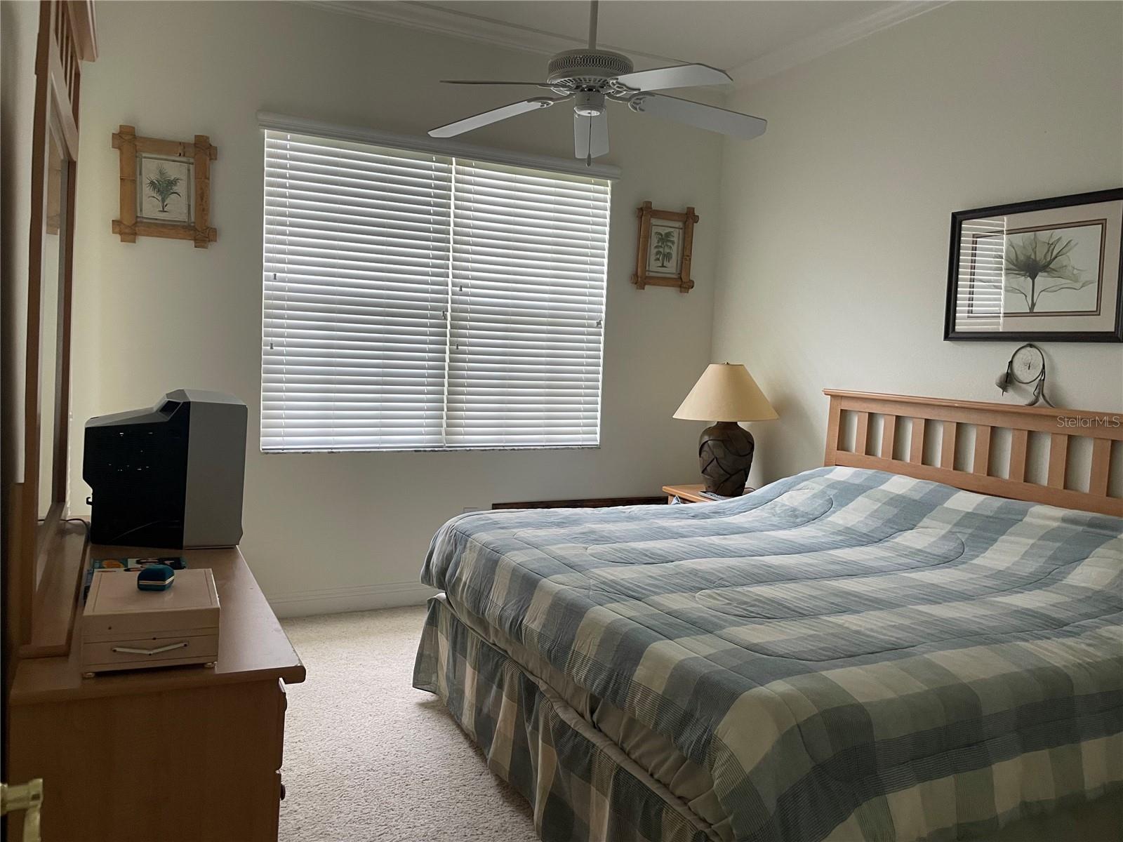 6816 DALI AVE #205, LAND O LAKES, FL, 34637