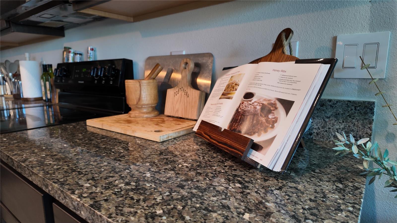 8648 FALLING BLUE PL, RIVERVIEW, FL, 33578