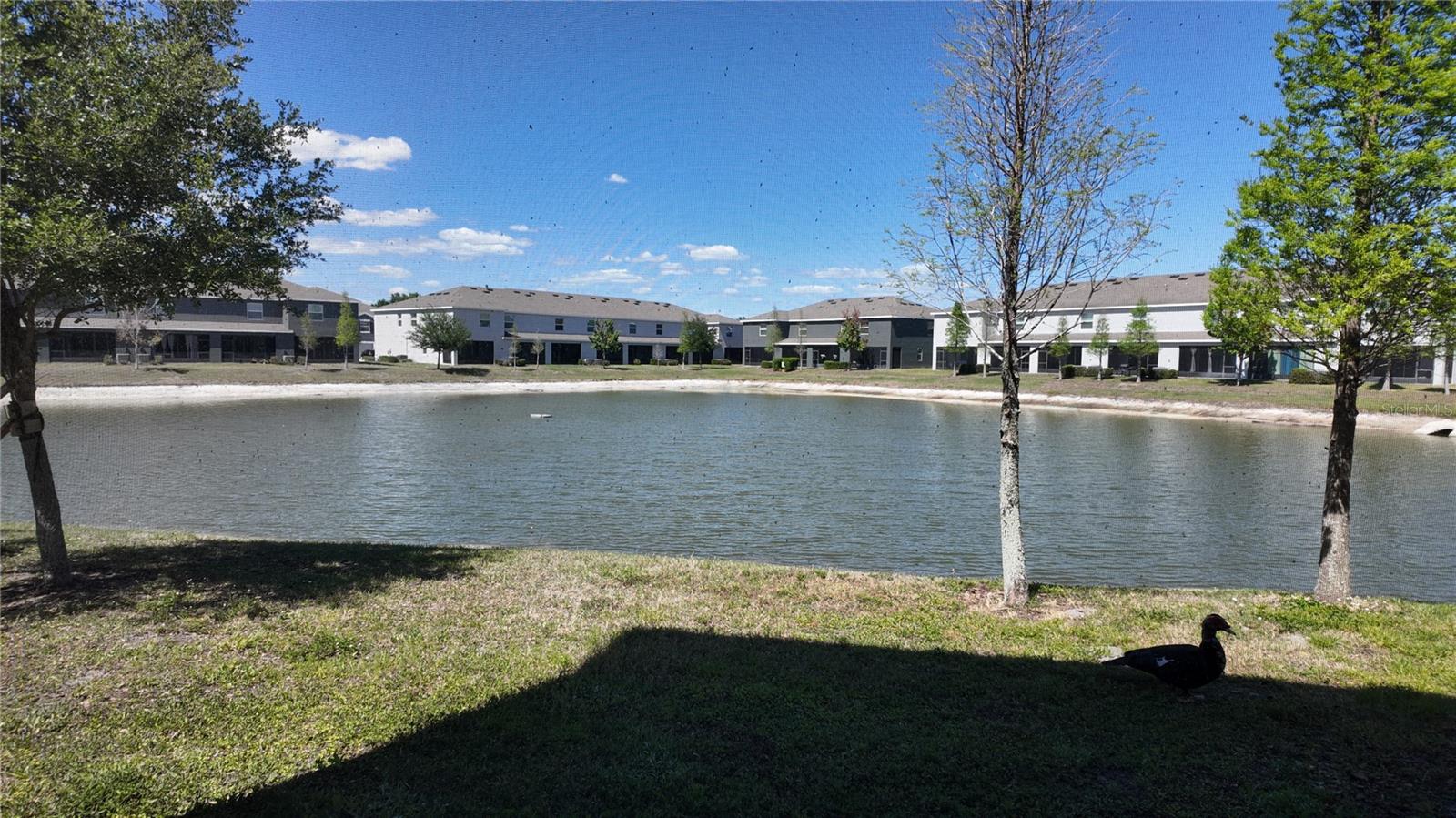 8648 FALLING BLUE PL, RIVERVIEW, FL, 33578