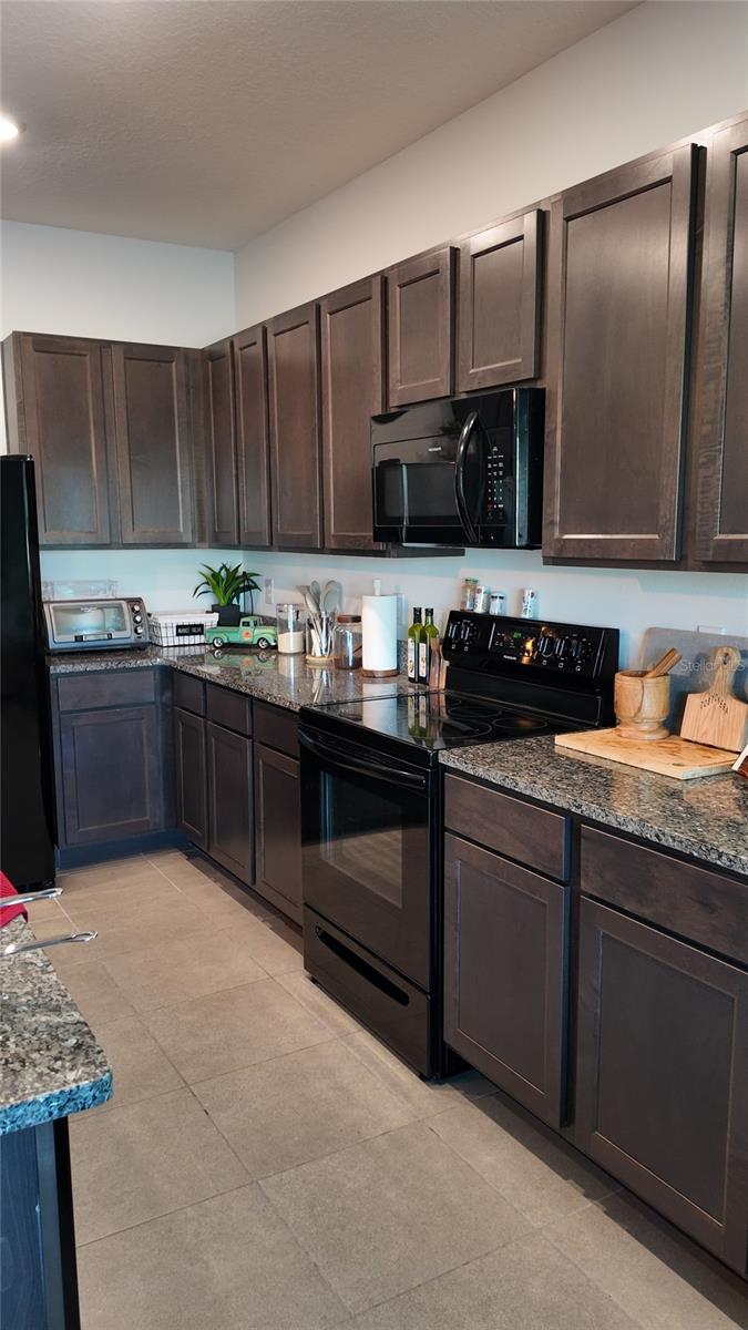 8648 FALLING BLUE PL, RIVERVIEW, FL, 33578