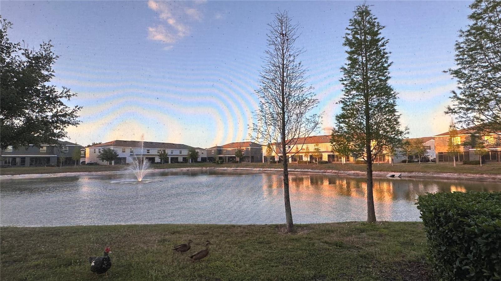 8648 FALLING BLUE PL, RIVERVIEW, FL, 33578