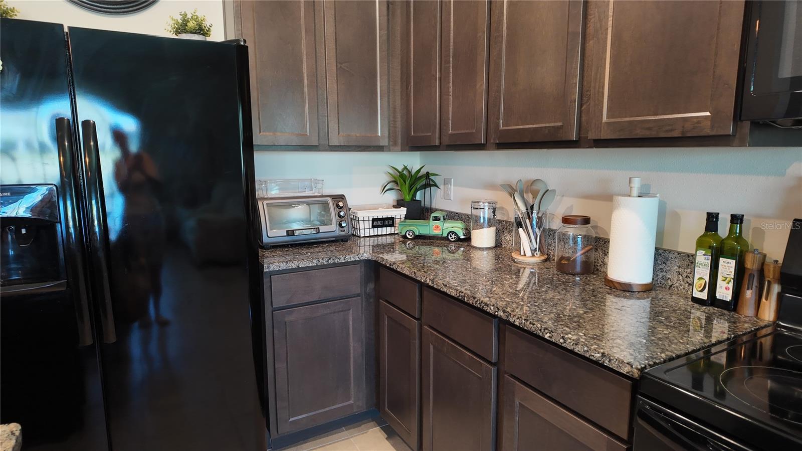 8648 FALLING BLUE PL, RIVERVIEW, FL, 33578