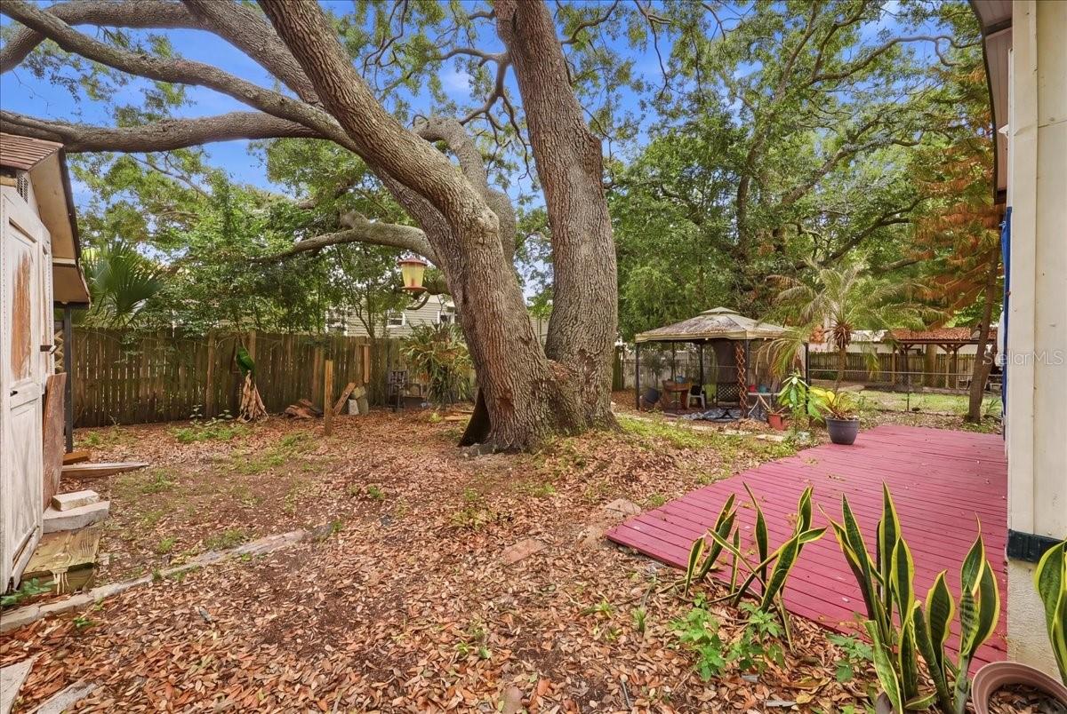 1908 REGINA DR, LAKE ALFRED, FL, 33850