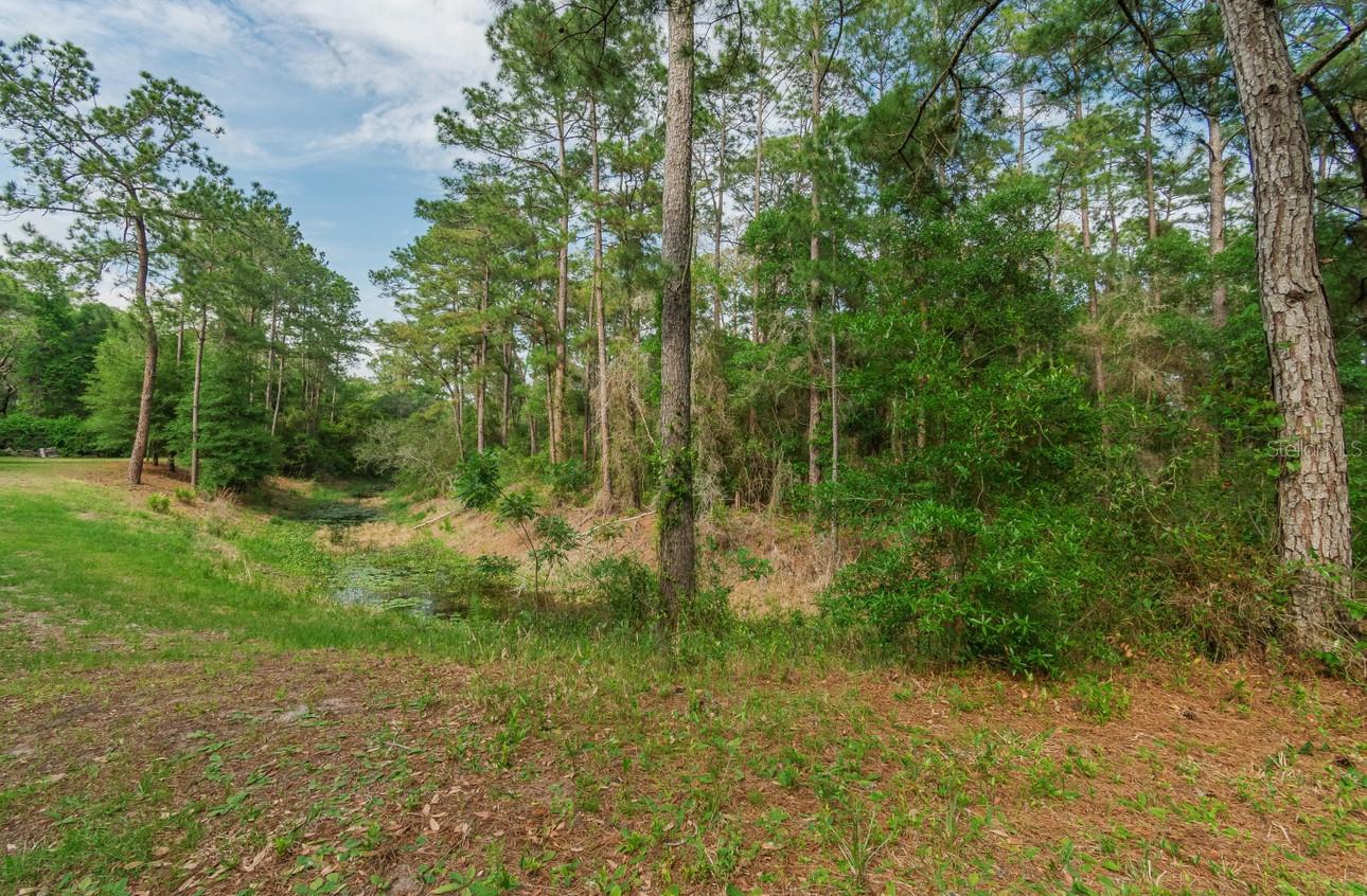 12205 N ELKCAM BLVD, DUNNELLON, FL, 34433