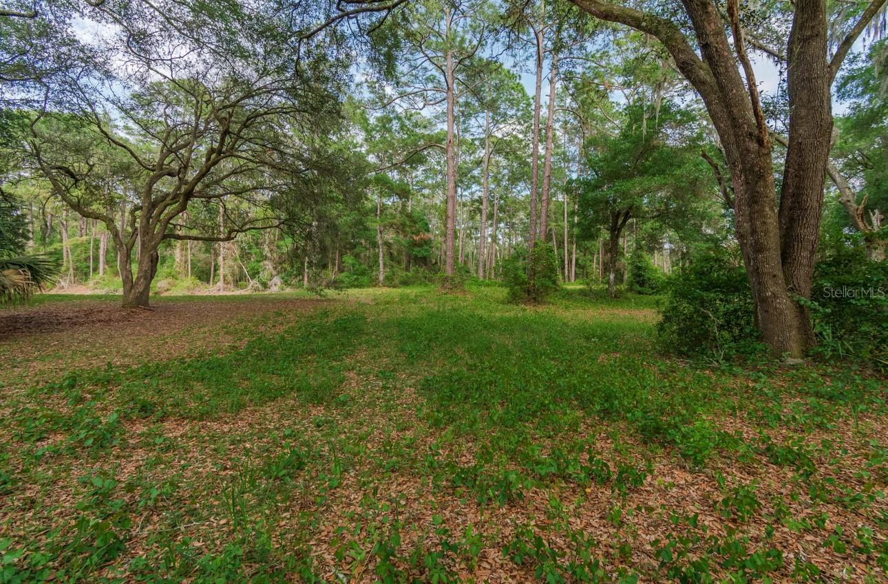 12205 N ELKCAM BLVD, DUNNELLON, FL, 34433