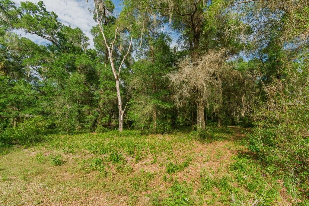 12205 N ELKCAM BLVD, DUNNELLON, FL, 34433