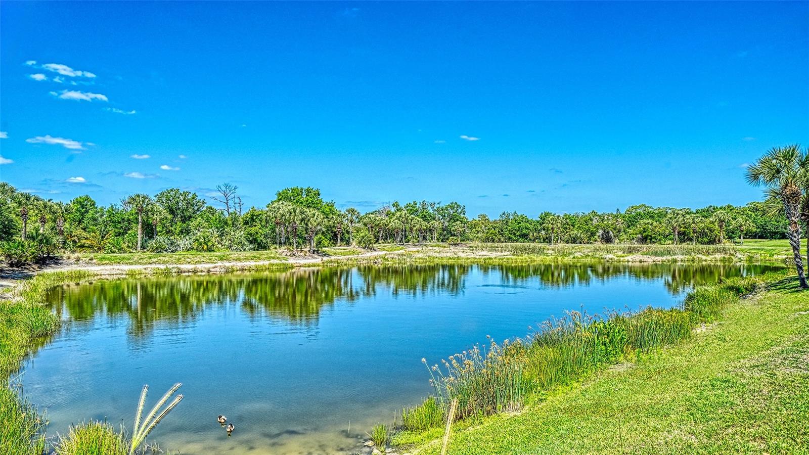 1424 BLUE HORIZON CIR, BRADENTON, FL, 34208