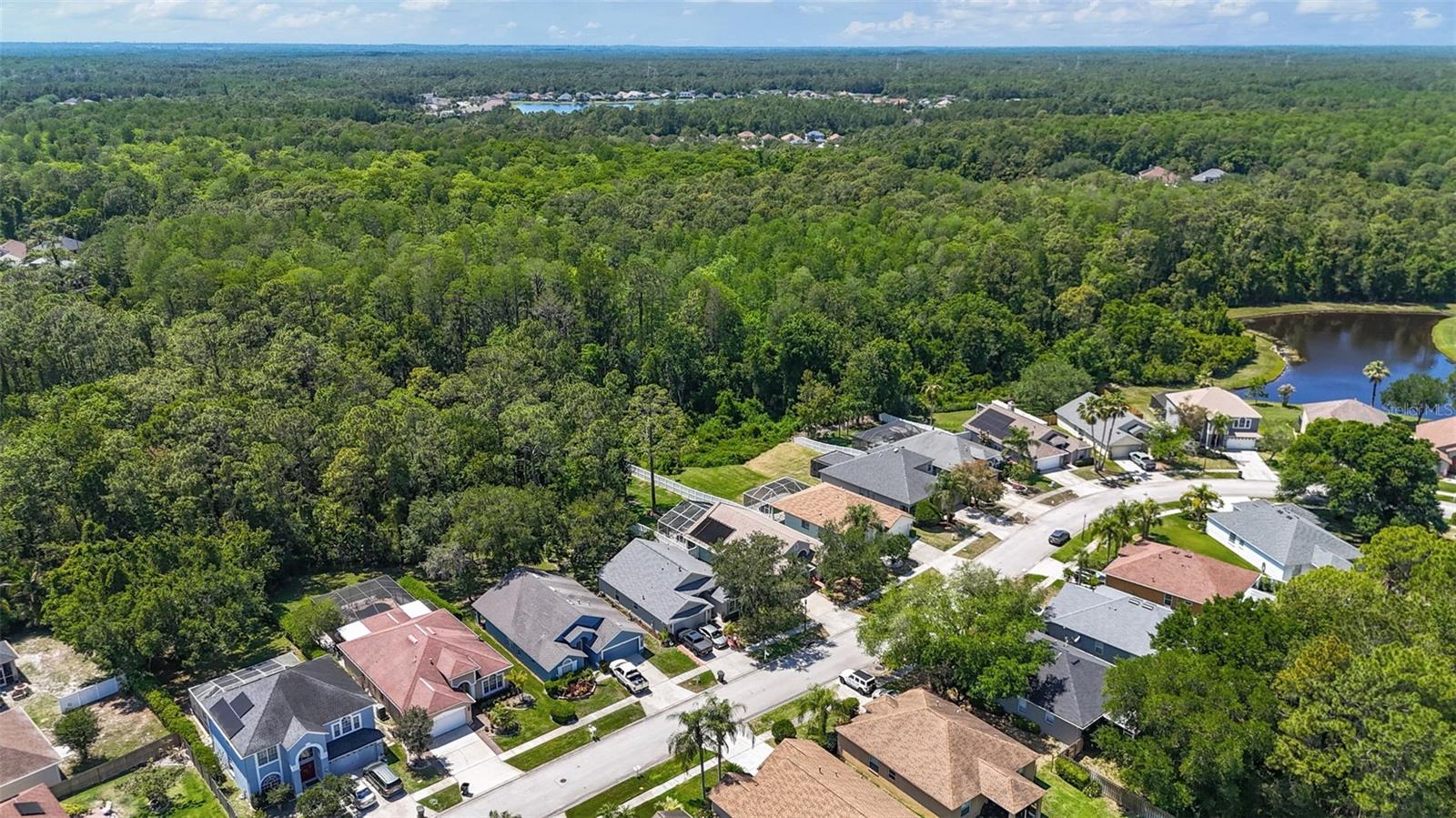 14524 WEEPING ELM DR, TAMPA, FL, 33626