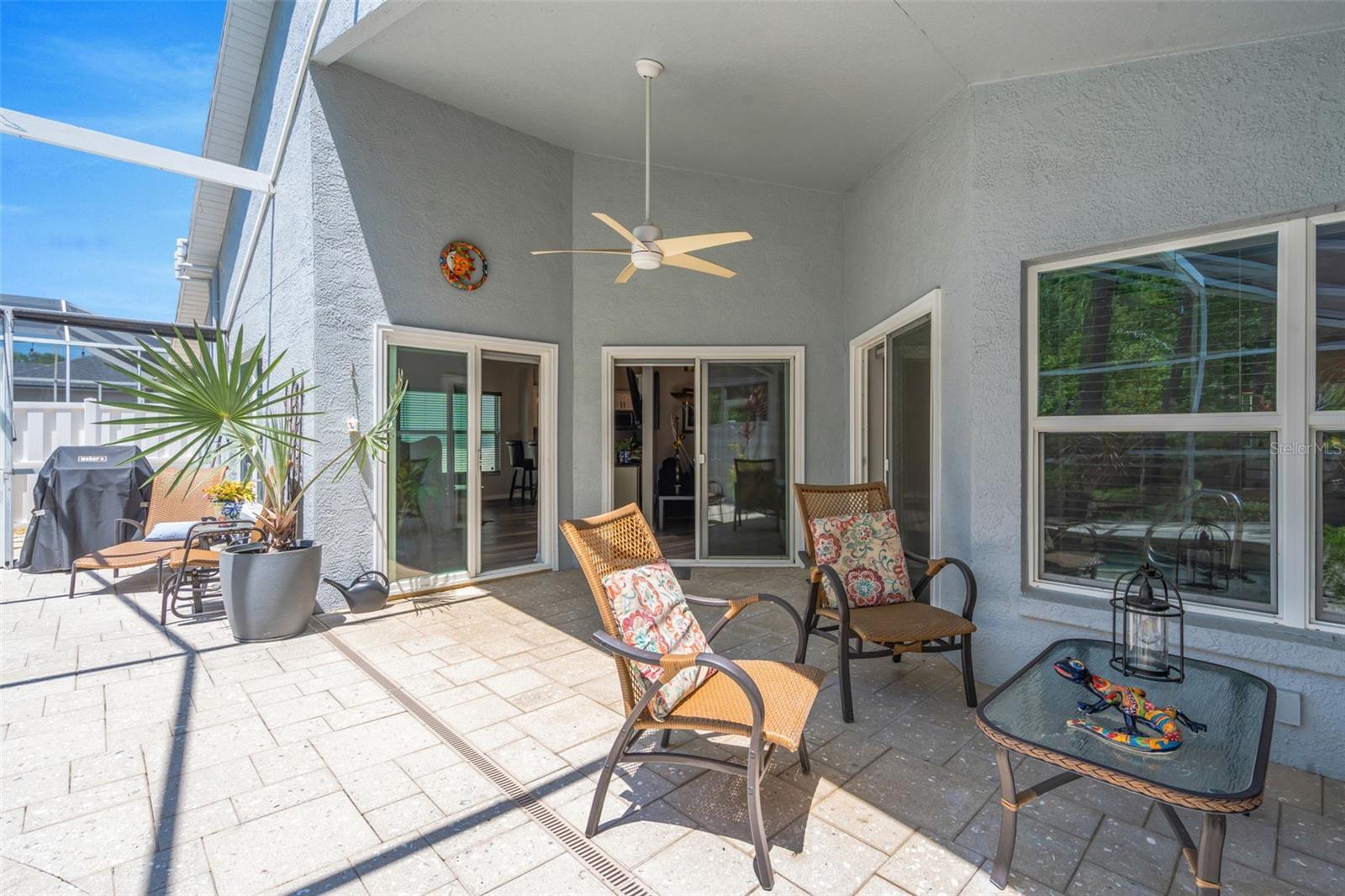 14524 WEEPING ELM DR, TAMPA, FL, 33626