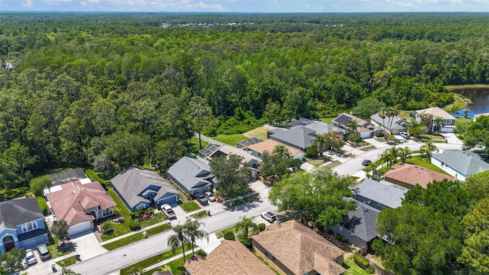 14524 WEEPING ELM DR, TAMPA, FL, 33626