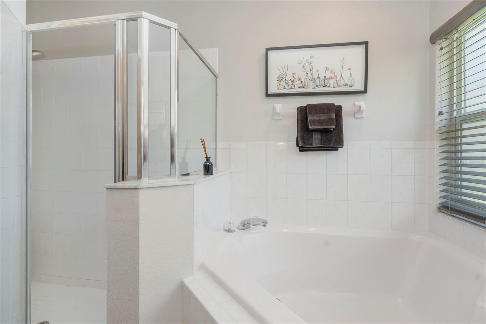 14524 WEEPING ELM DR, TAMPA, FL, 33626