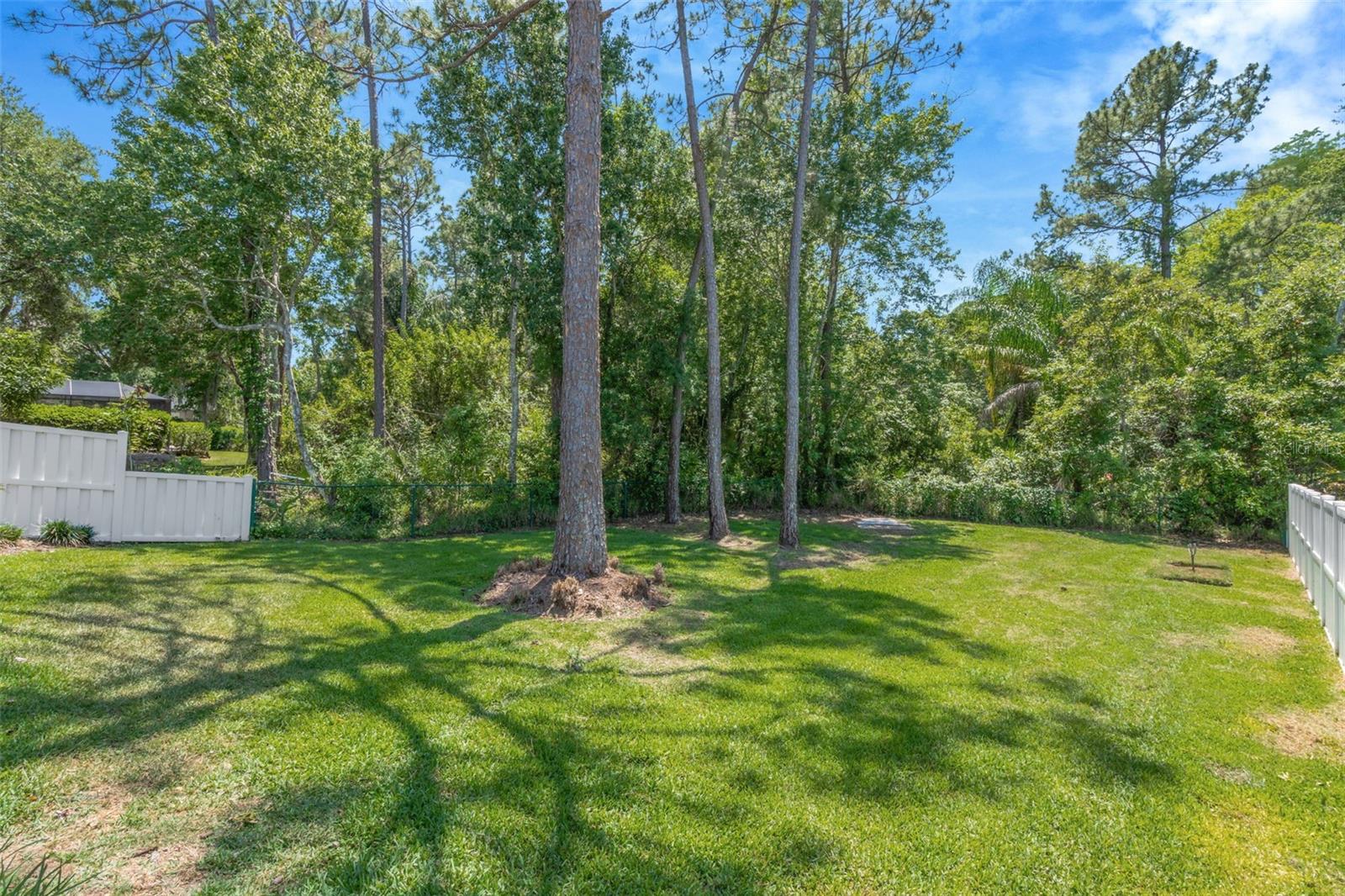 14524 WEEPING ELM DR, TAMPA, FL, 33626