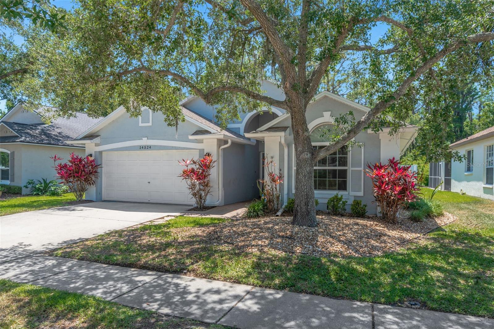 14524 WEEPING ELM DR, TAMPA, FL, 33626