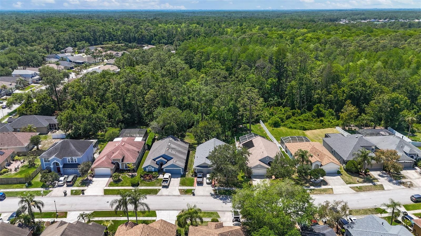 14524 WEEPING ELM DR, TAMPA, FL, 33626