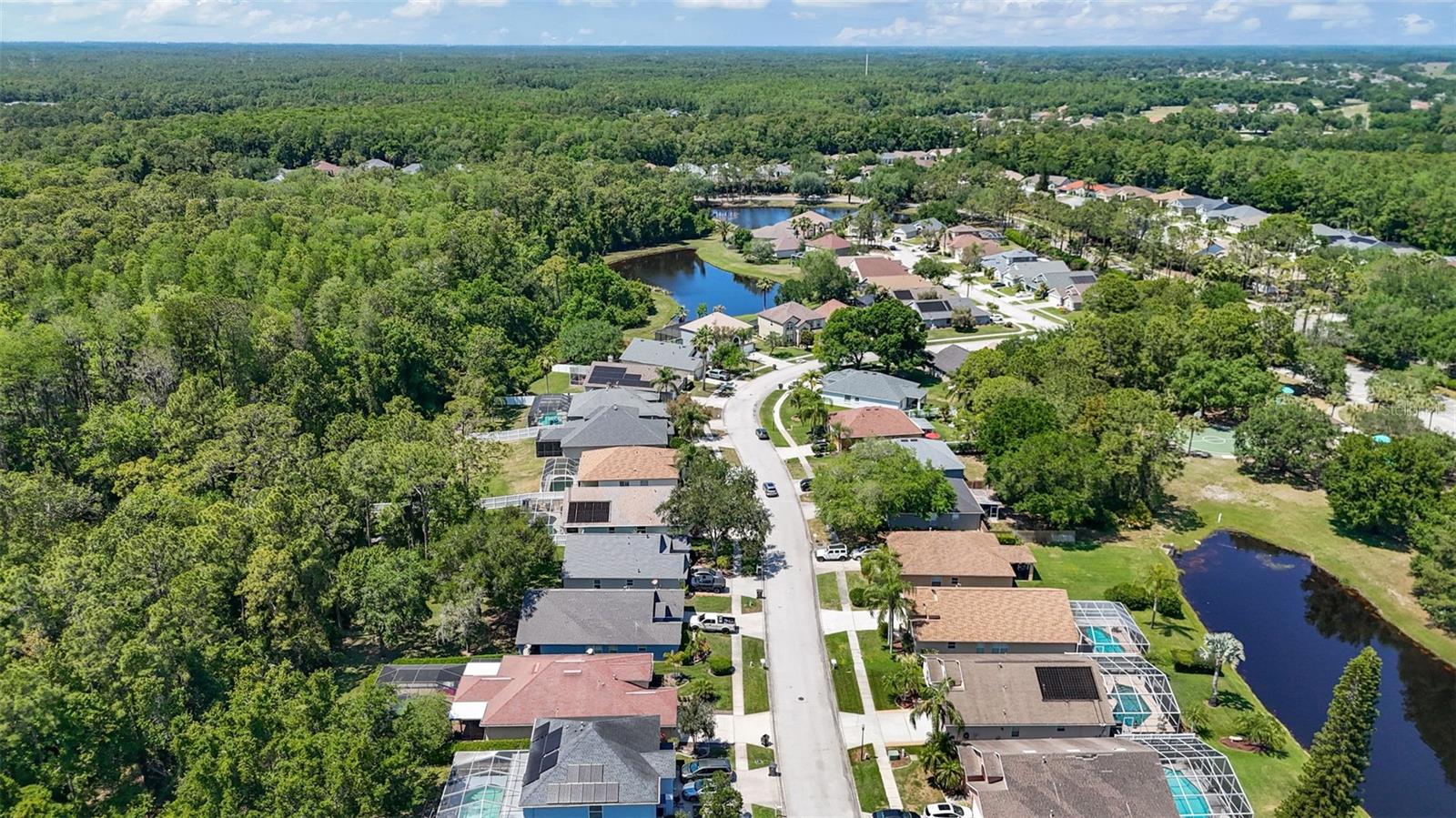 14524 WEEPING ELM DR, TAMPA, FL, 33626