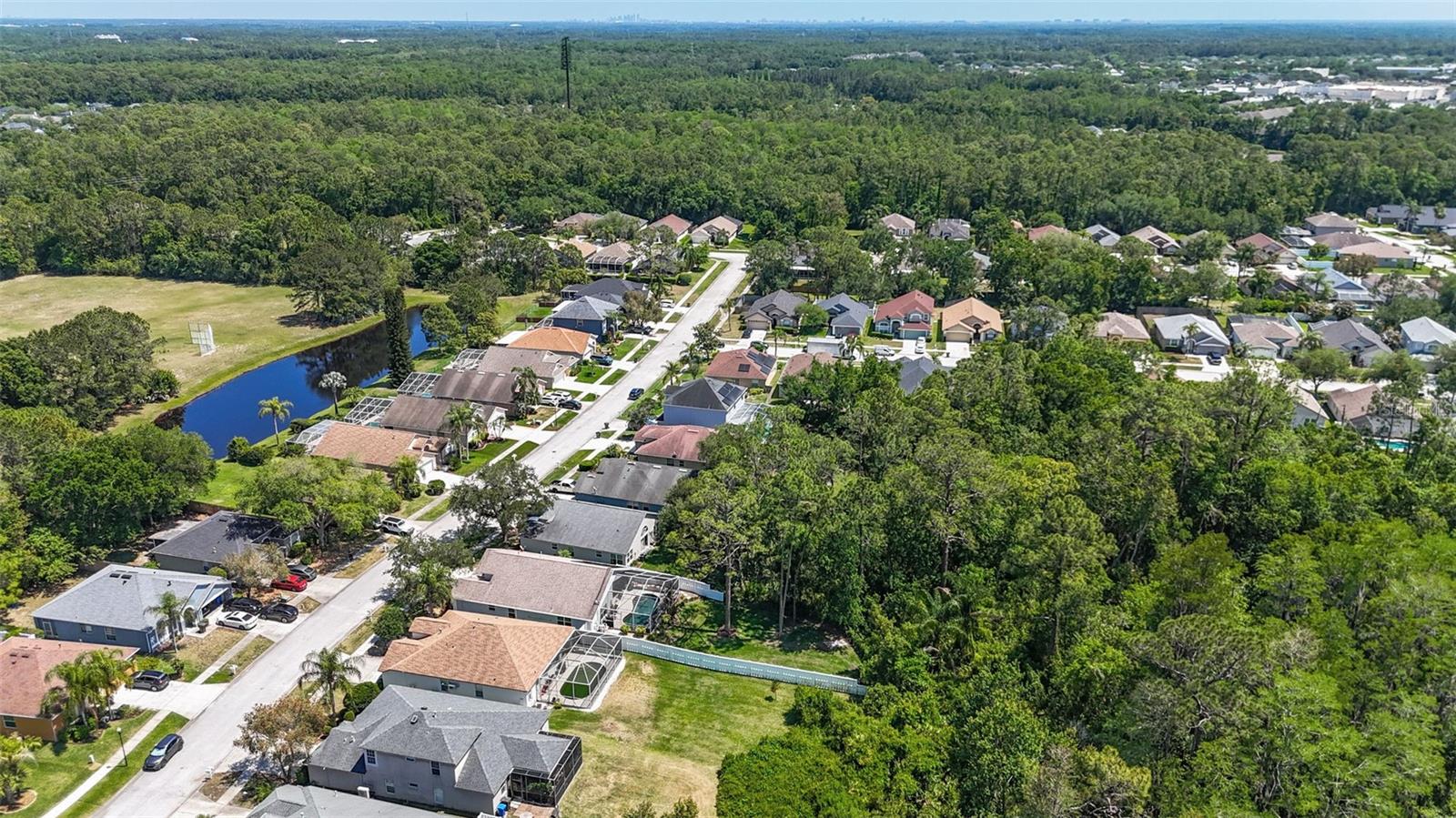 14524 WEEPING ELM DR, TAMPA, FL, 33626