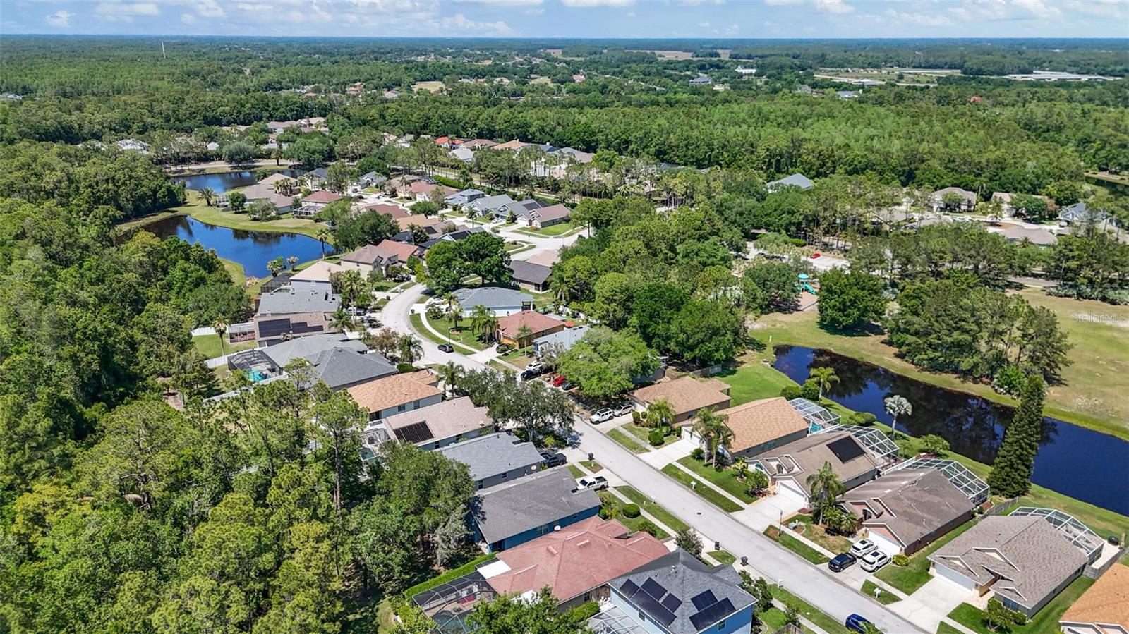 14524 WEEPING ELM DR, TAMPA, FL, 33626