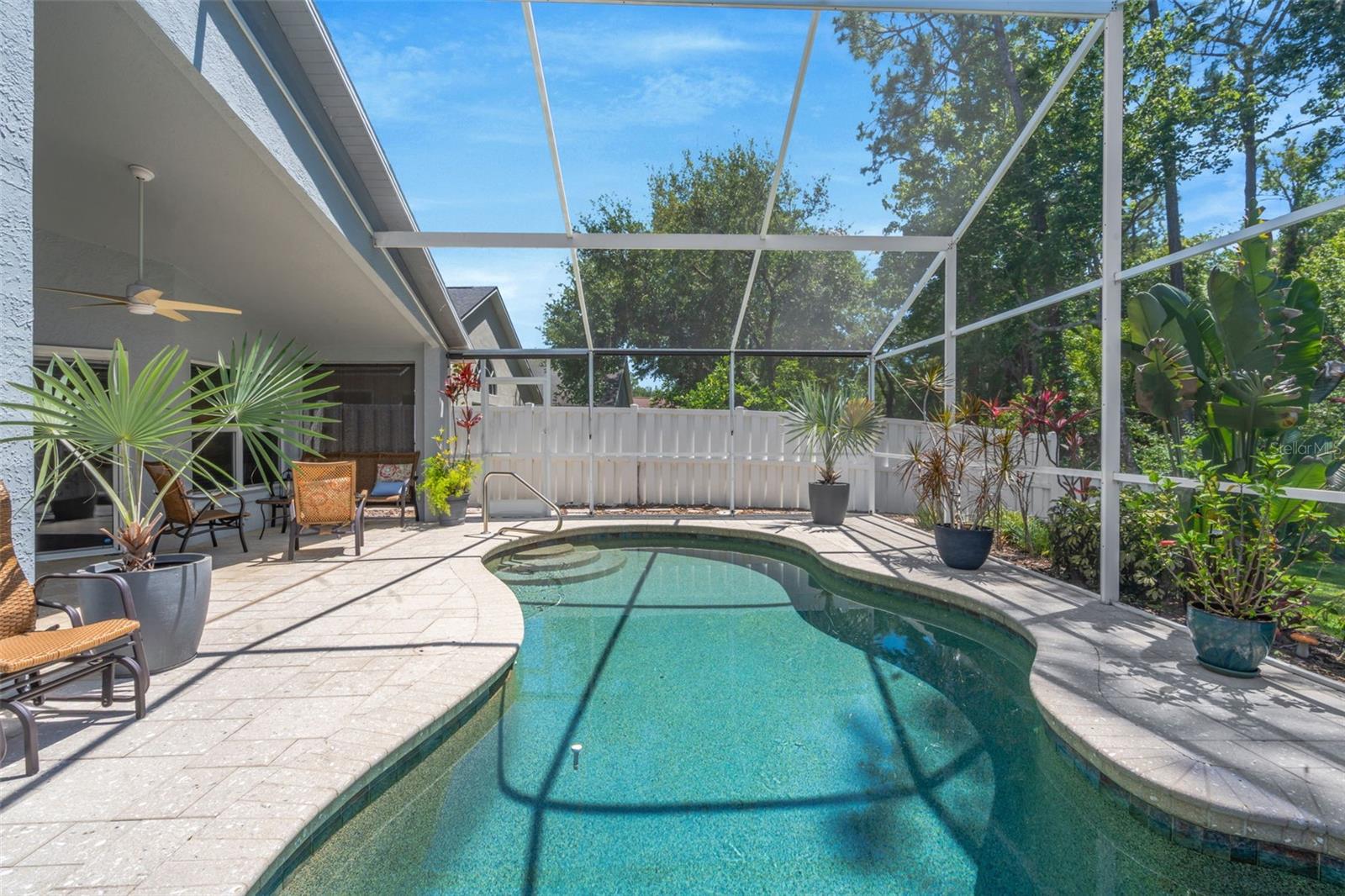 14524 WEEPING ELM DR, TAMPA, FL, 33626