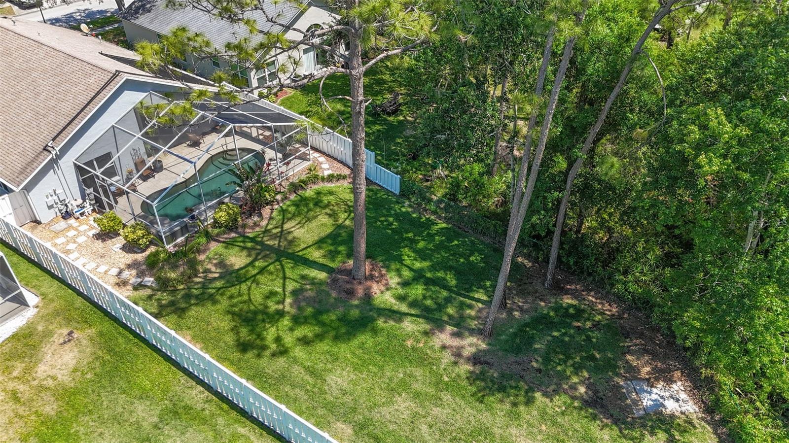 14524 WEEPING ELM DR, TAMPA, FL, 33626