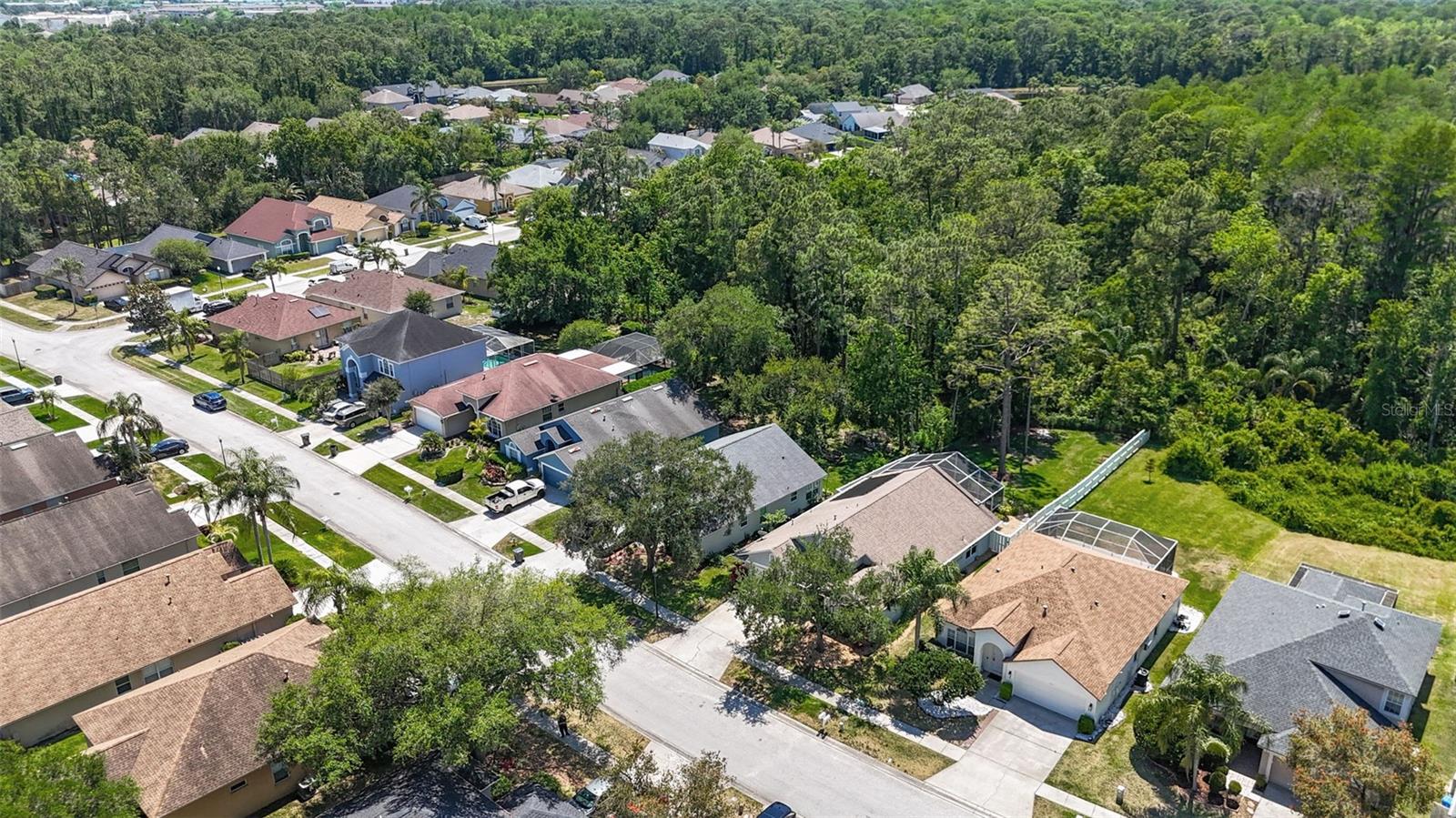 14524 WEEPING ELM DR, TAMPA, FL, 33626