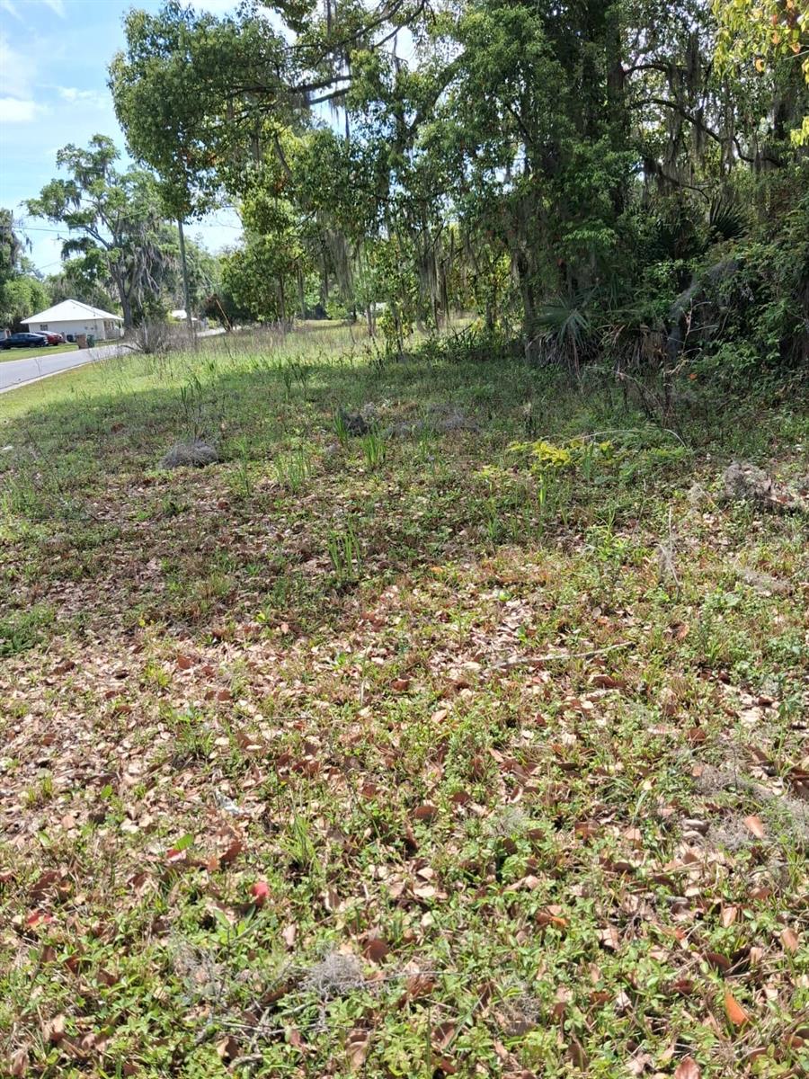 552 NE GURLEY AVE, LAKE CITY, FL, 32055