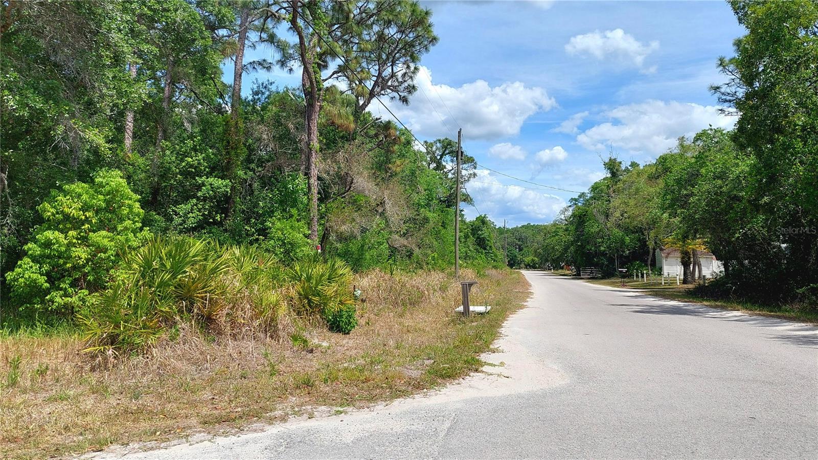 DAVISTA, NEW PORT RICHEY, FL, 34654