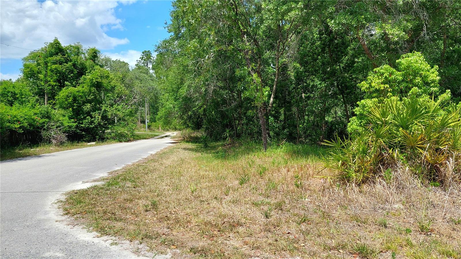 DAVISTA, NEW PORT RICHEY, FL, 34654