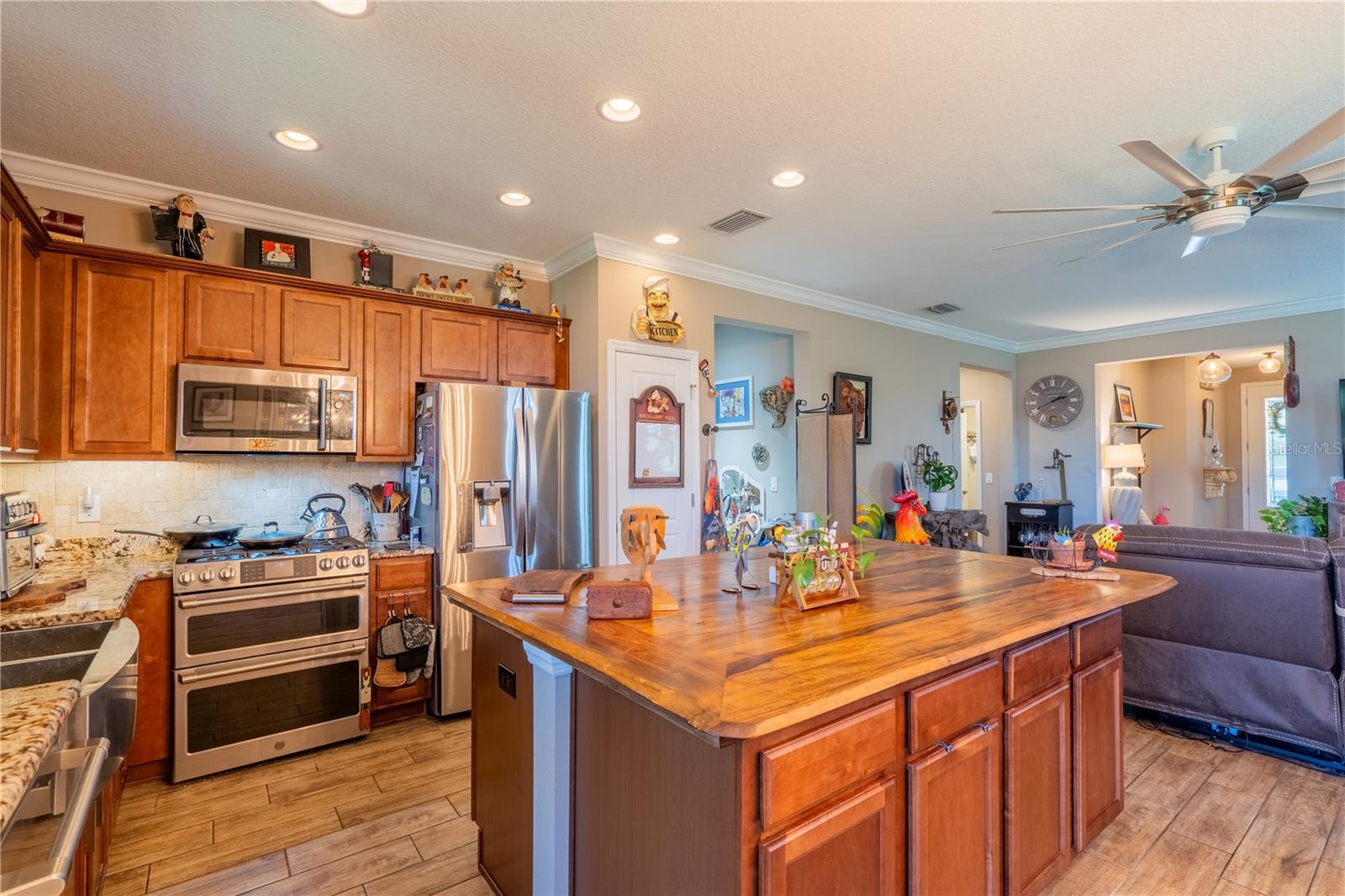 3881 NW 46TH TER, OCALA, FL, 34482