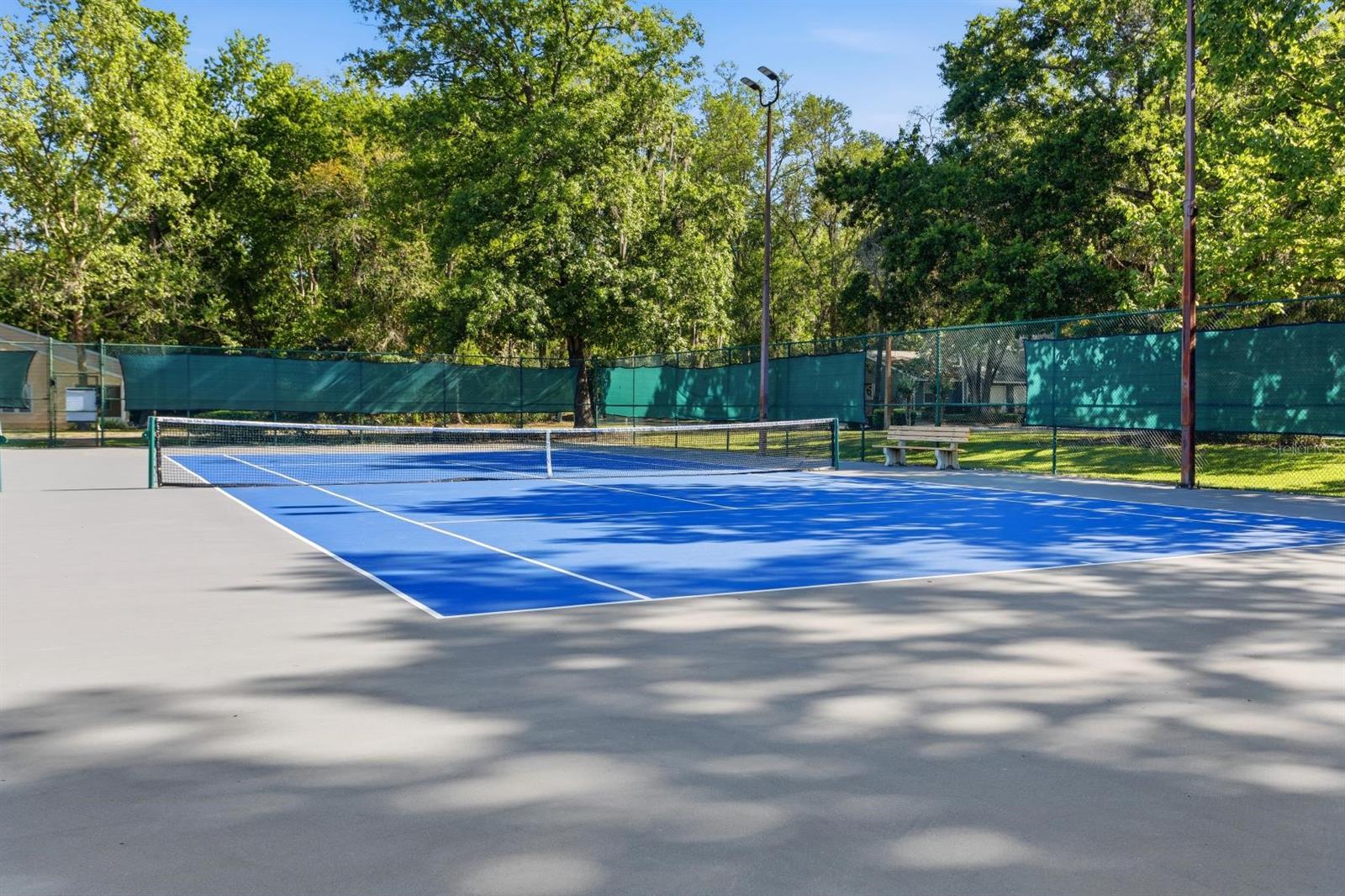 239 NW 48TH BLVD, GAINESVILLE, FL, 32607