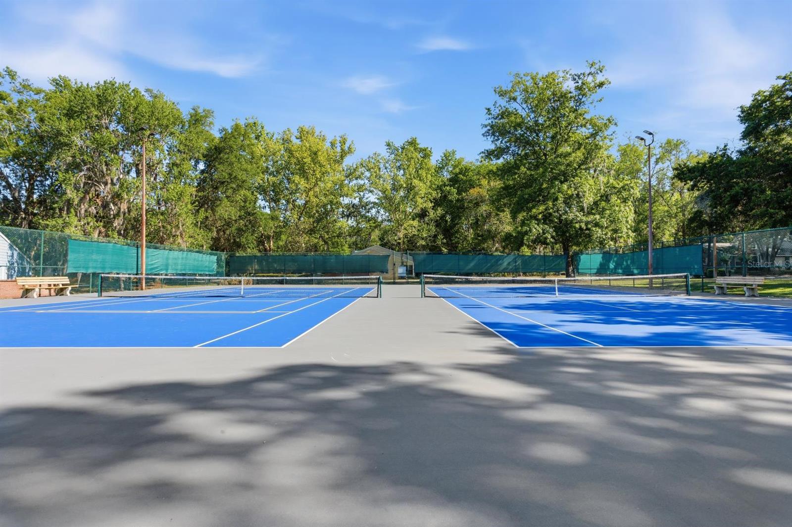 239 NW 48TH BLVD, GAINESVILLE, FL, 32607