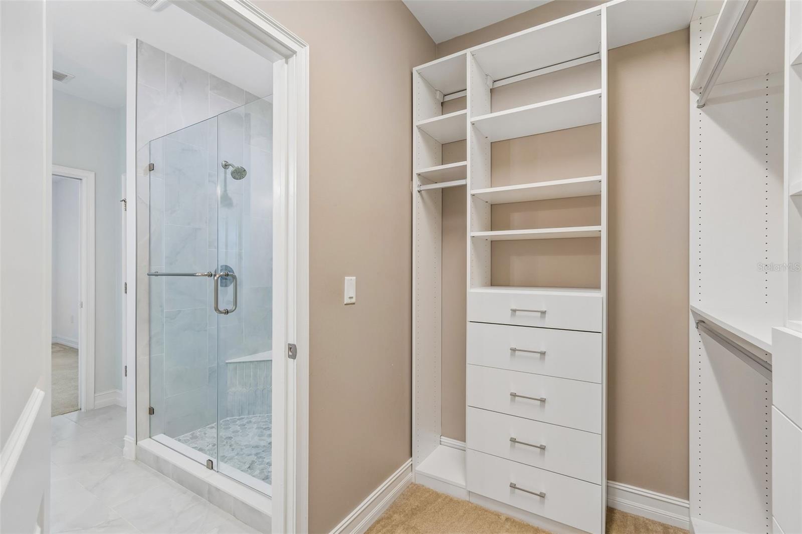 4146 WELLING TER, LAND O LAKES, FL, 34638