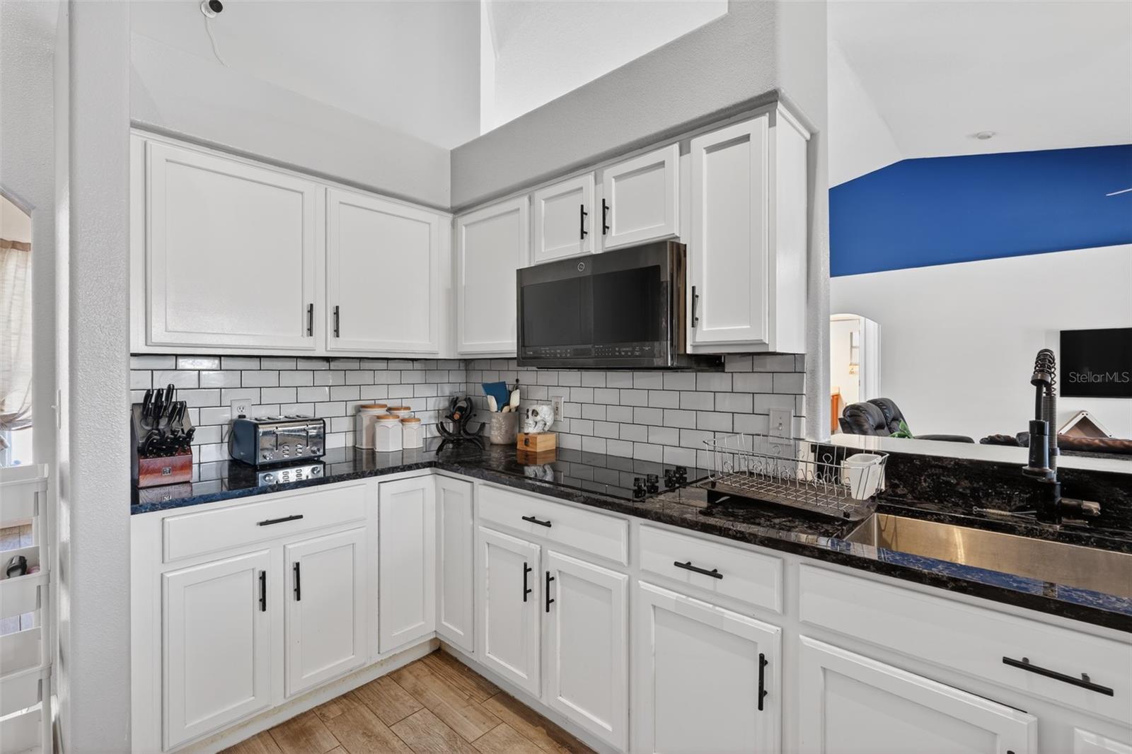 2231 SUMMER RAYE CT, ST CLOUD, FL, 34772