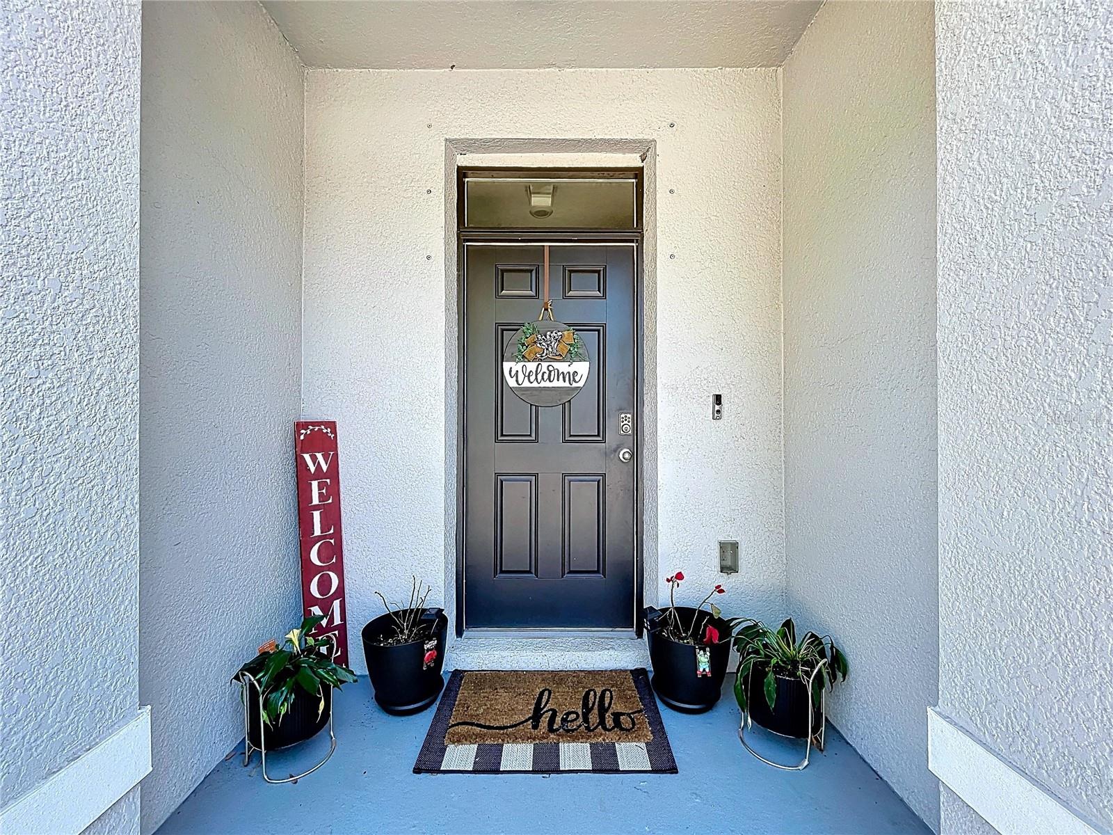 3313 PLEASANT WILLOW CT, BRANDON, FL, 33511