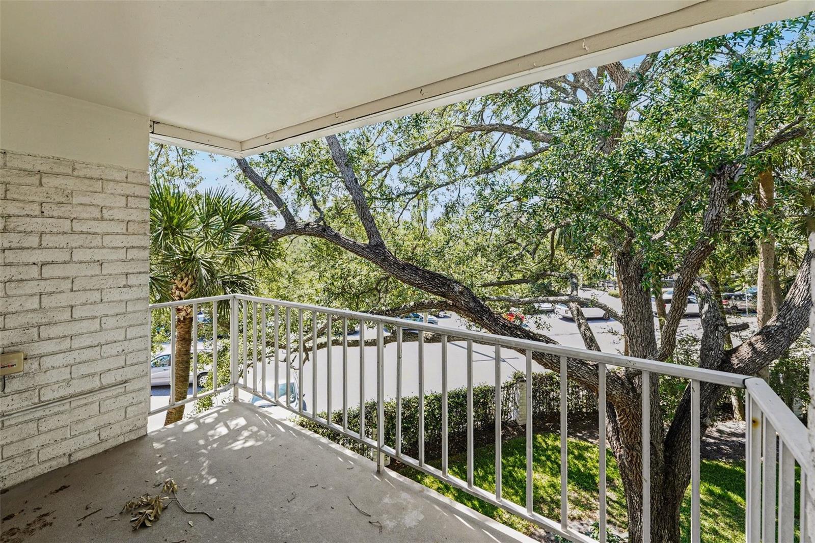 3325 BAYSHORE BLVD #F36, TAMPA, FL, 33629