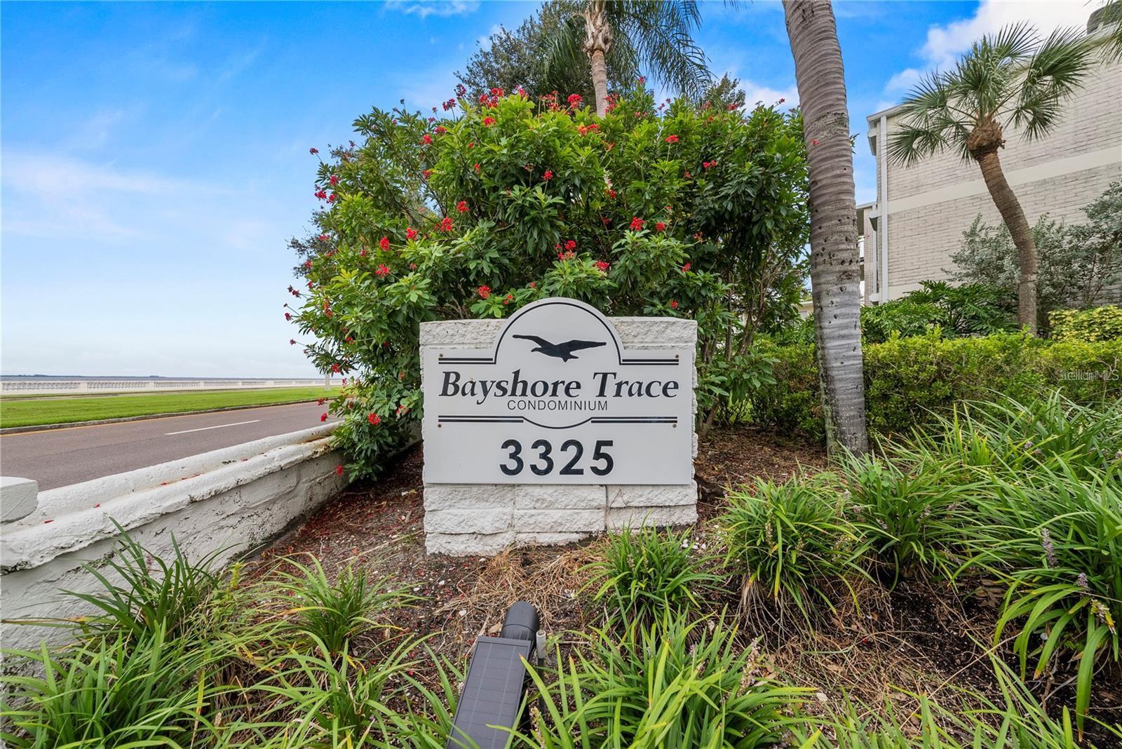 3325 BAYSHORE BLVD #F36, TAMPA, FL, 33629