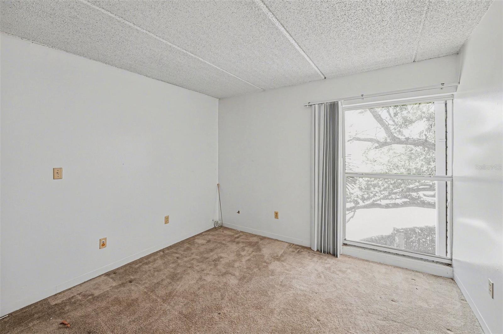 3325 BAYSHORE BLVD #F36, TAMPA, FL, 33629