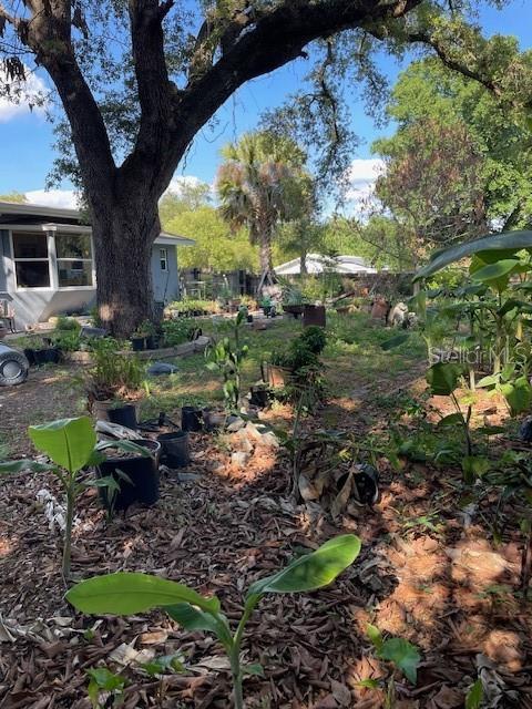 6800 ANOKA DR, ORLANDO, FL, 32818