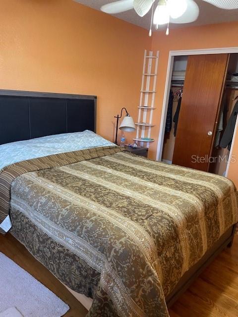 6800 ANOKA DR, ORLANDO, FL, 32818