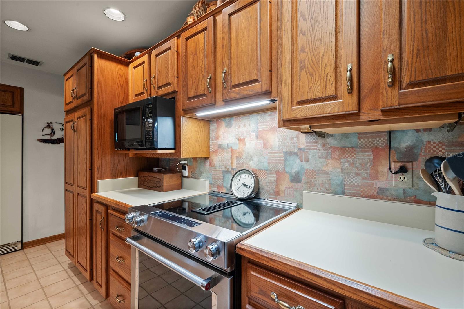 35935 LANA DR, DADE CITY, FL, 33523